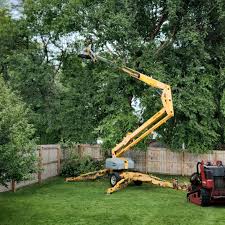 Best Tree Health Inspection  in Cascades, VA