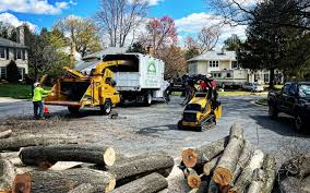 Best Storm Damage Tree Cleanup  in Cascades, VA